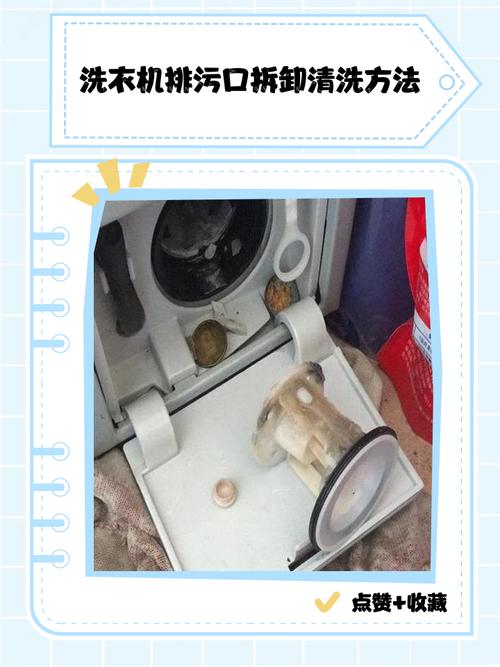 拆开清理后的洗衣机排污过滤器