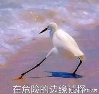 别预测了,你不如先试试“毒物兴奋”