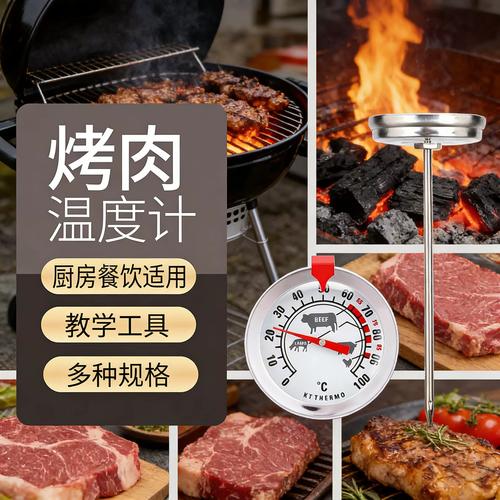 烤牛排内部中心温度测试示意图