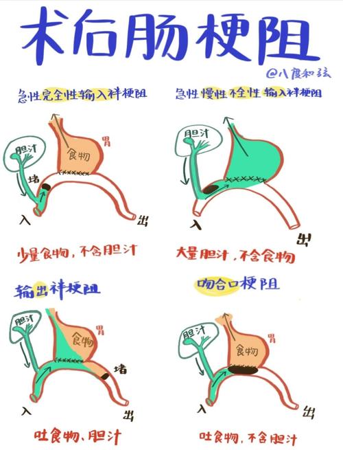 宠物医院犬猫异物梗阻早期症状对照手绘示意图