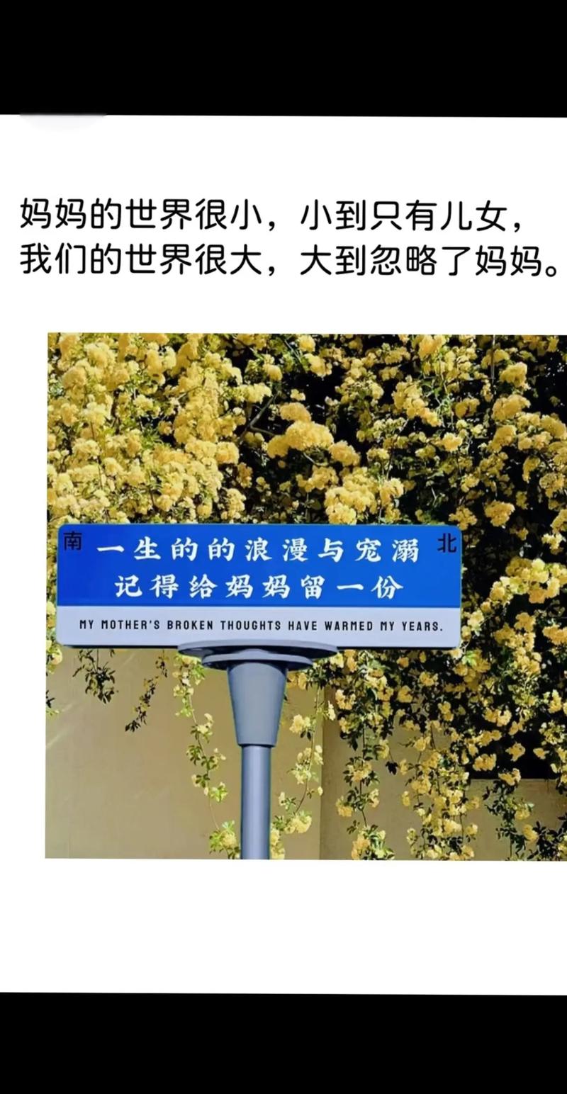 风里藏着的小道理