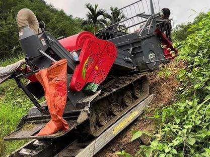 南方山地梯田小型履带收割机作业