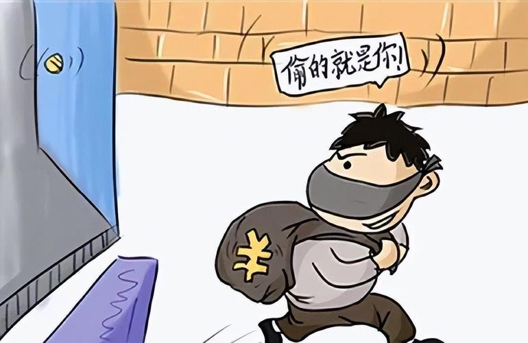 居民家中遭遇窃贼防卫场景示意图