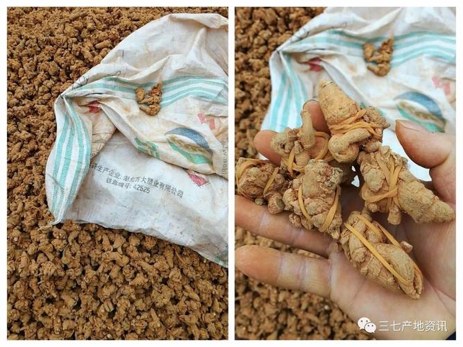 不用花大价钱,基础防护能防八成问题