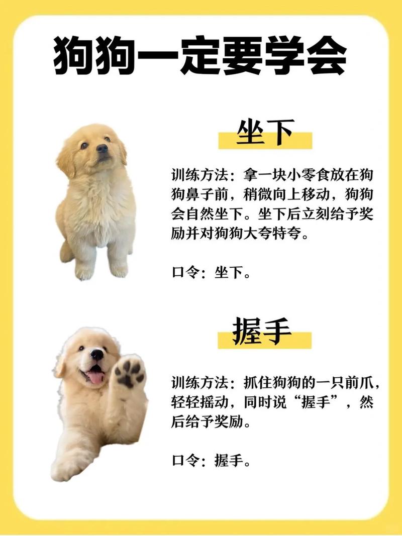 Q1: 狗狗多大开始训练最好?