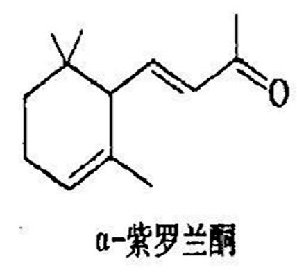 桂花:不止是香,更是秋天的味觉密码-因为所以