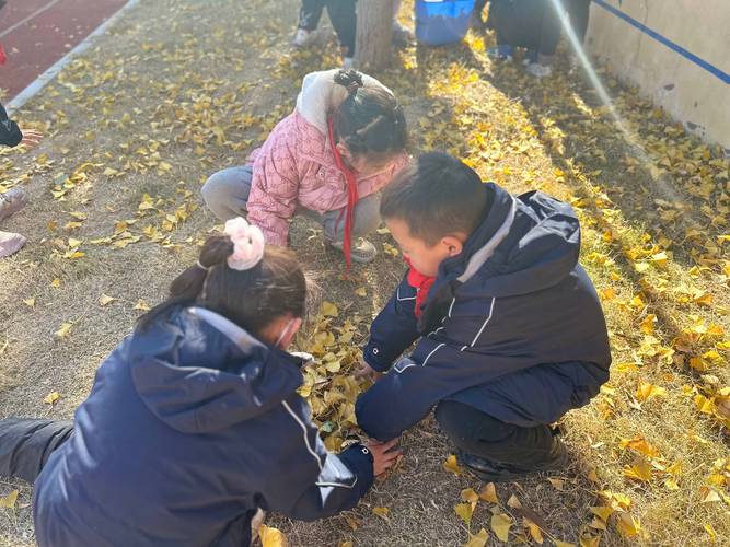 幼儿在家捏碎落叶的感官探索场景
