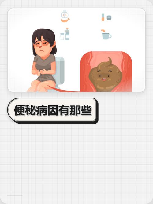 功能性便秘膳食纤维分类示意图