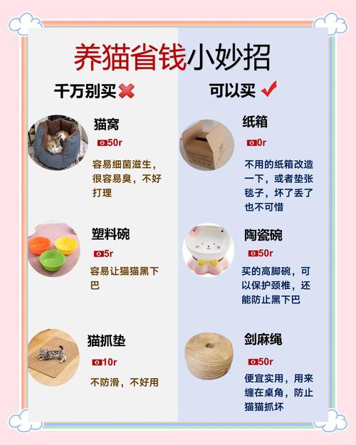 不用花大价钱,在家就能帮老猫稳住状态