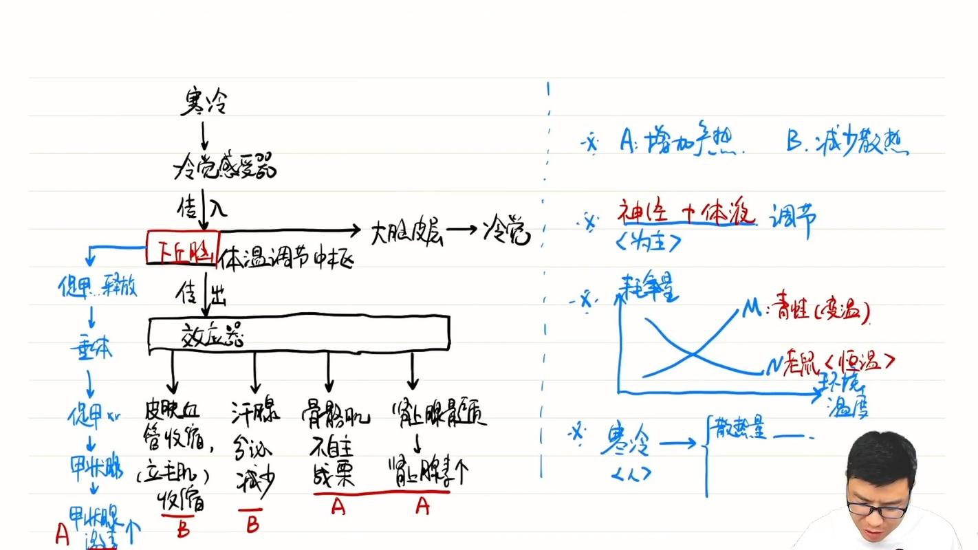 体温调节神经体液反馈示意图