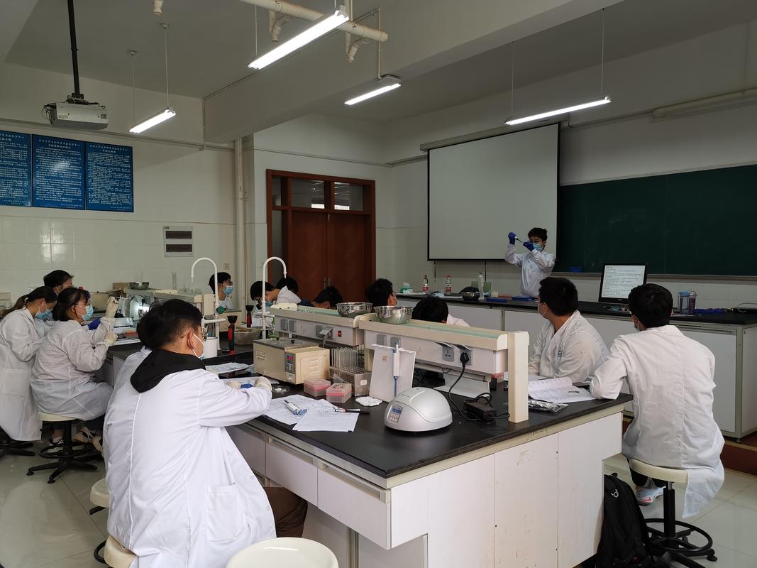 教学改了什么?只是加了半小时的出门