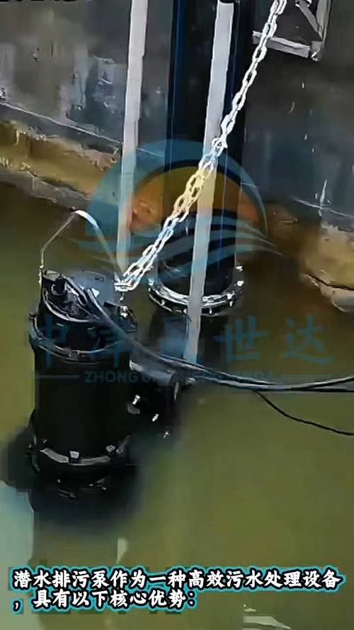 污水处理厂潜水排污泵安装现场图