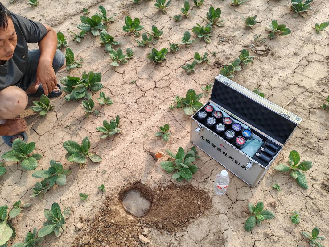 基层农业站便携式土壤检测仪应用场景