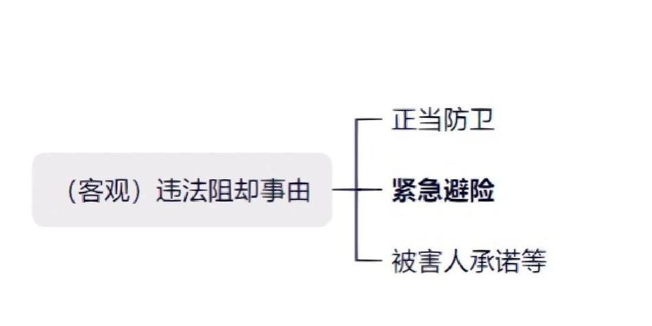 紧急避险民事责任划分案例图