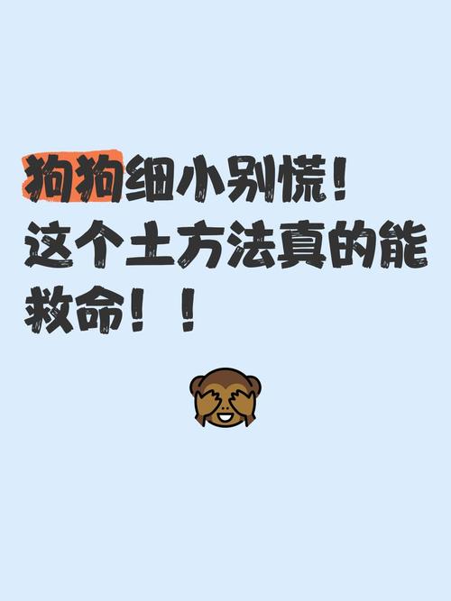 别慌！几个土办法真的能救命