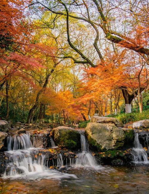 杭州九溪烟树秋日游客打卡美景