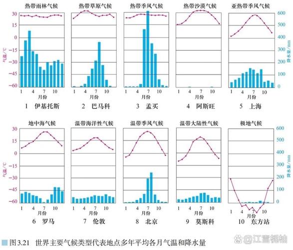 世界主要气候类型气温降水柱状图对比图表