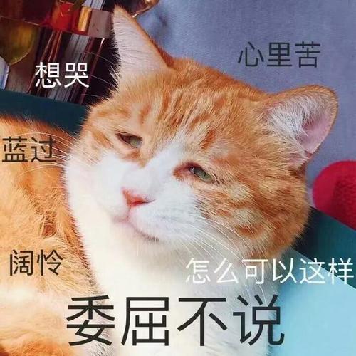 现在的孩子,连