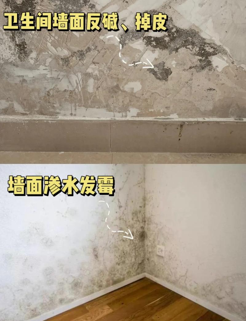 卫生间墙角墙面渗水发霉湿气来源图