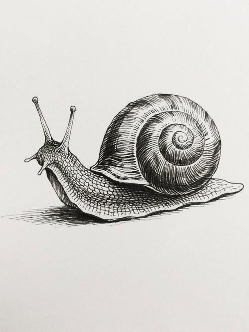 孩子手绘给死去宠物蜗牛的纸质小墓碑