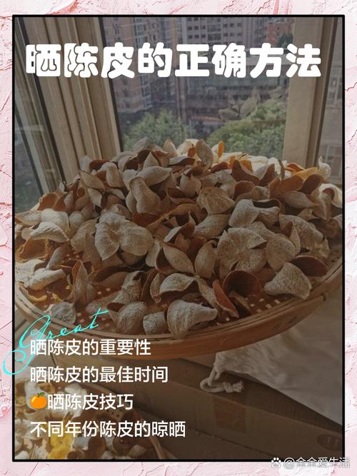 厨余垃圾果皮晾晒处理步骤图