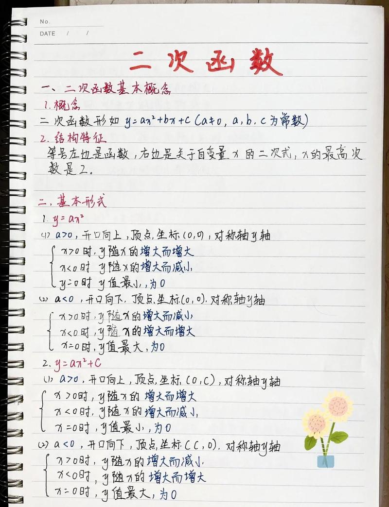 初中数学核心基础知识点整理笔记实拍
