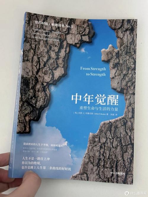 中年程序员焦虑翻看职业发展书籍