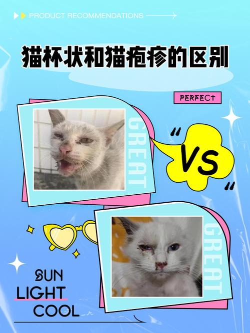 健康猫咪与疱疹感染猫咪眼部对比图