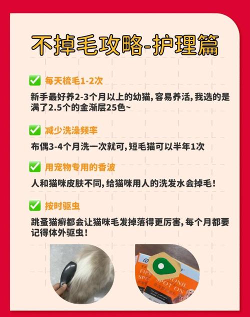 我自己处理宠物掉毛,从来不用那些花架子