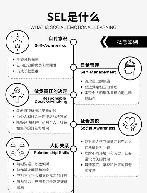 SEL到底在学什么？