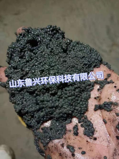工业废水厌氧反应器内部颗粒污泥