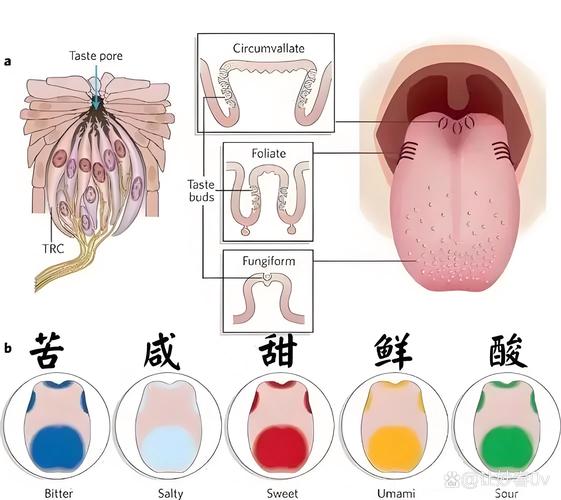 挑食应对别硬刚!这套“软硬兼施”策略我用了三年-超级宝贝