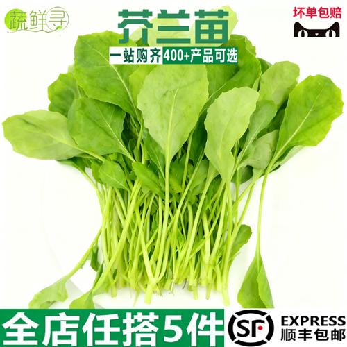 新鲜与变质绿叶菜对比图