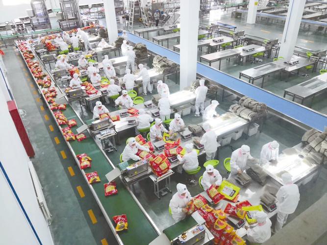 食品厂全自动包装生产线实拍