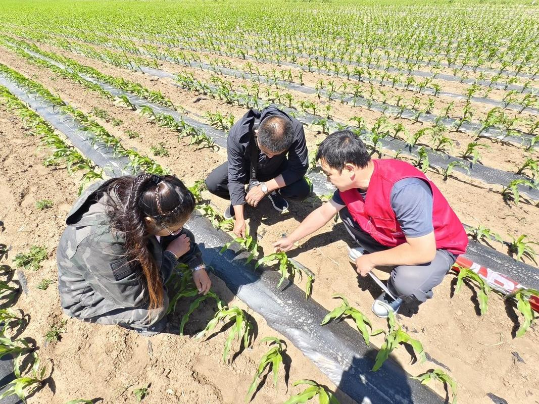 最佳实践推广：让科研成果从“纸面”落回“地面”
