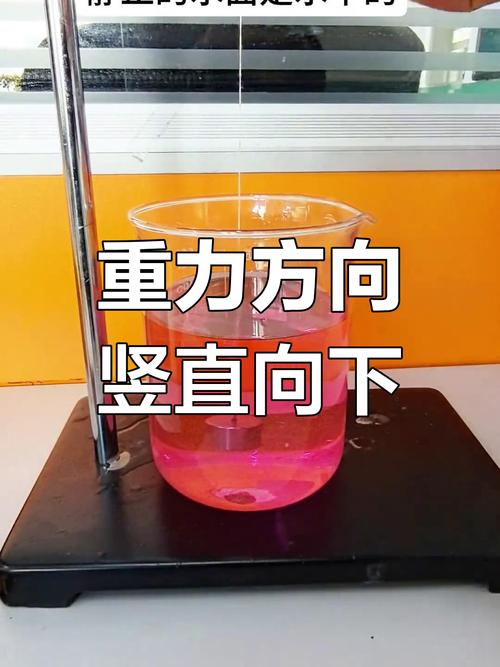 初中物理重力方向竖直向下实验学生作业图