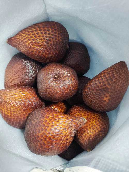 常见可驱虫新鲜果皮实拍