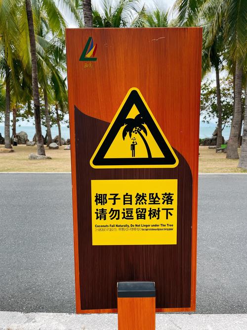 ⚠️ 特别提醒：小白最容易栽跟头的地方