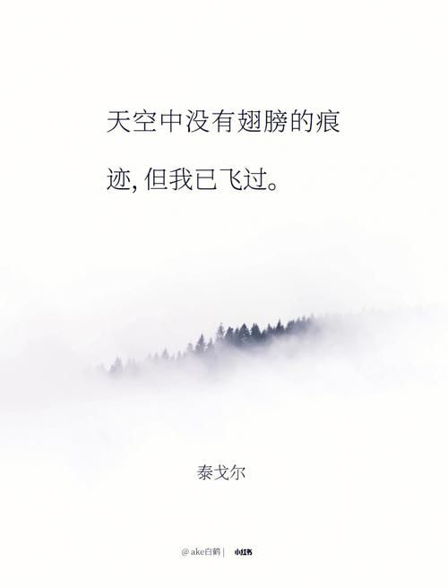 飞走之后留下的空位