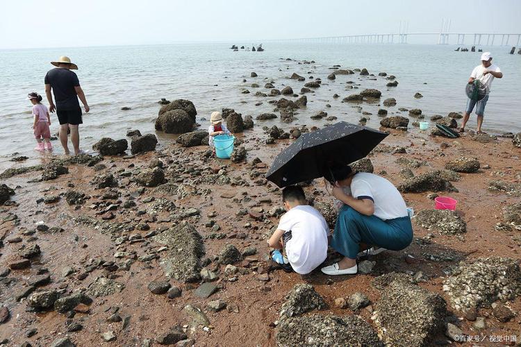 北戴河鸽子窝公园浅滩退潮赶海实景