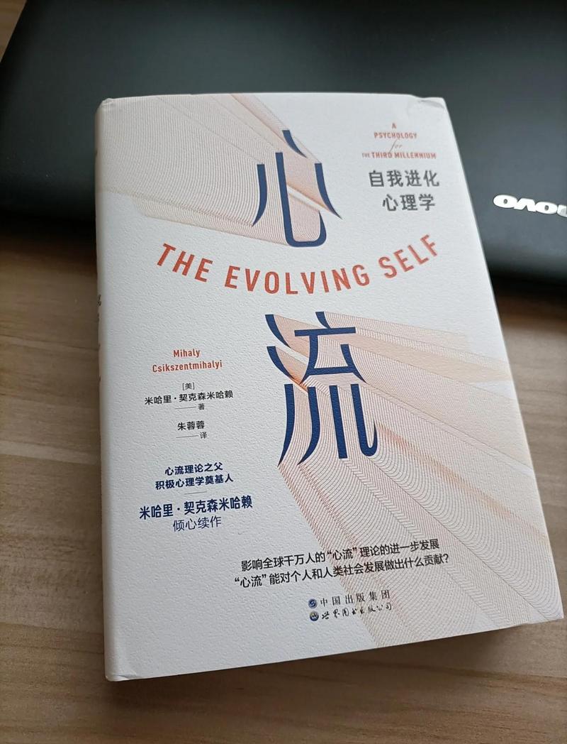 心流状态：当世界只剩下针与线 🧘