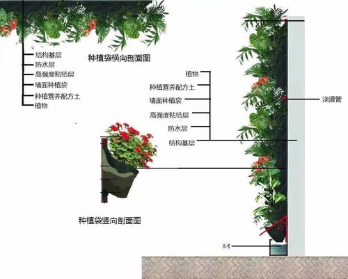植物墙防水基层施工剖面图