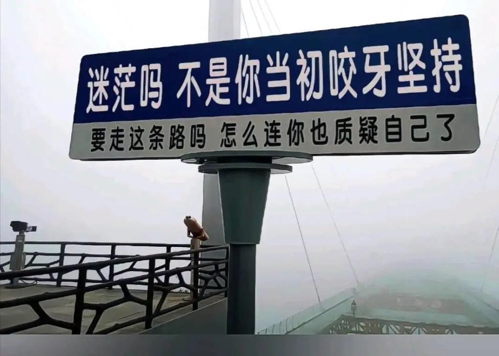 这条路该怎么走下去?
