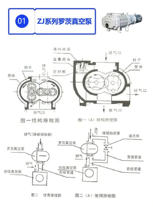 不同真空泵类型工作原理对比图