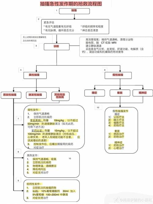 宠物癫痫发作全阶段时间轴示意图