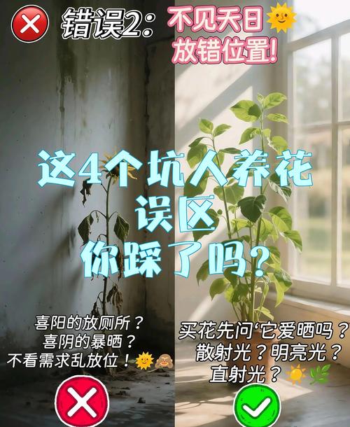 最容易踩坑的几个比的概念误区