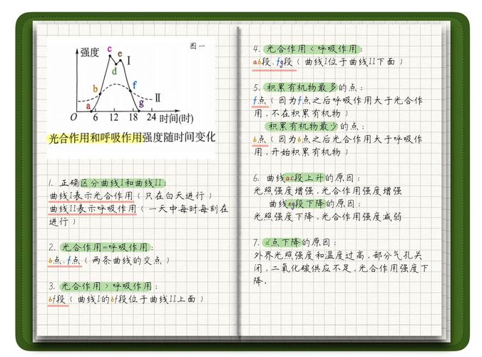 高中生物光合作用曲线题型横纵轴例题图