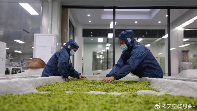 浙江丽水茶农数字化产销本地服务站实景