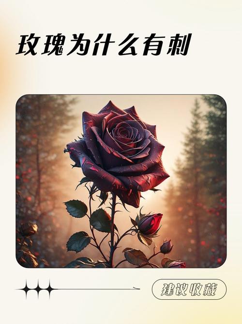 家庭监护，玫瑰还是利刺？