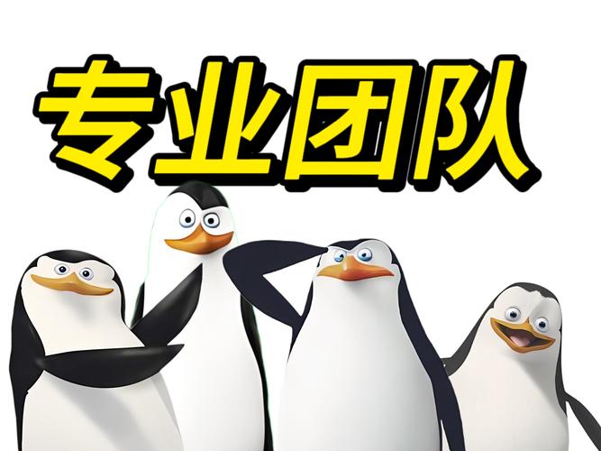 企业到底该自己弄，还是找专业团队？